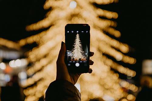 christmas tree person taking photo of tree zorlu center